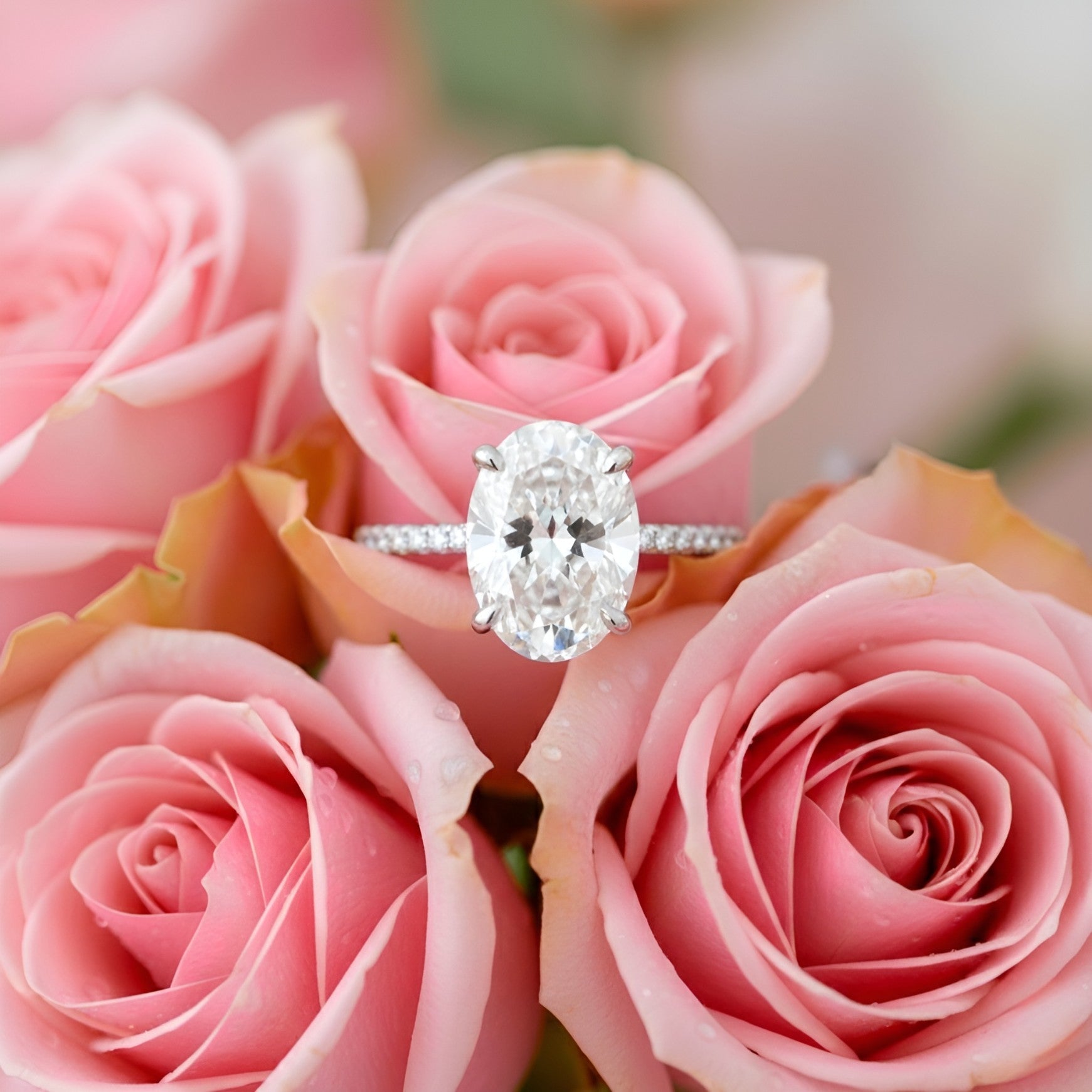 DIAMOND WIFE Ring